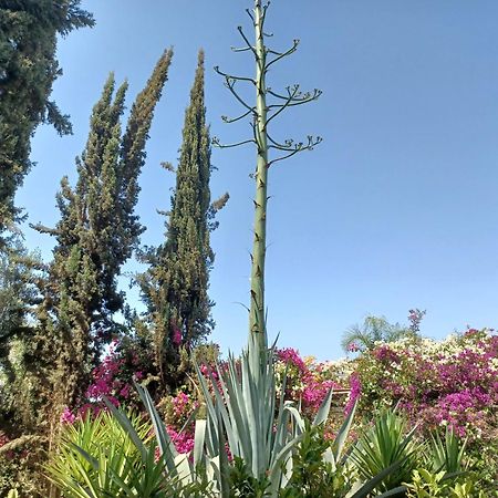 Riad-Villa Agadir-Taroudant Sidi Boumoussa Екстериор снимка