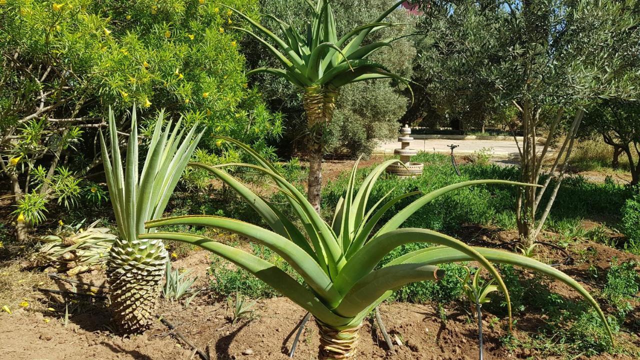 Riad-Villa Agadir-Taroudant Sidi Boumoussa Екстериор снимка
