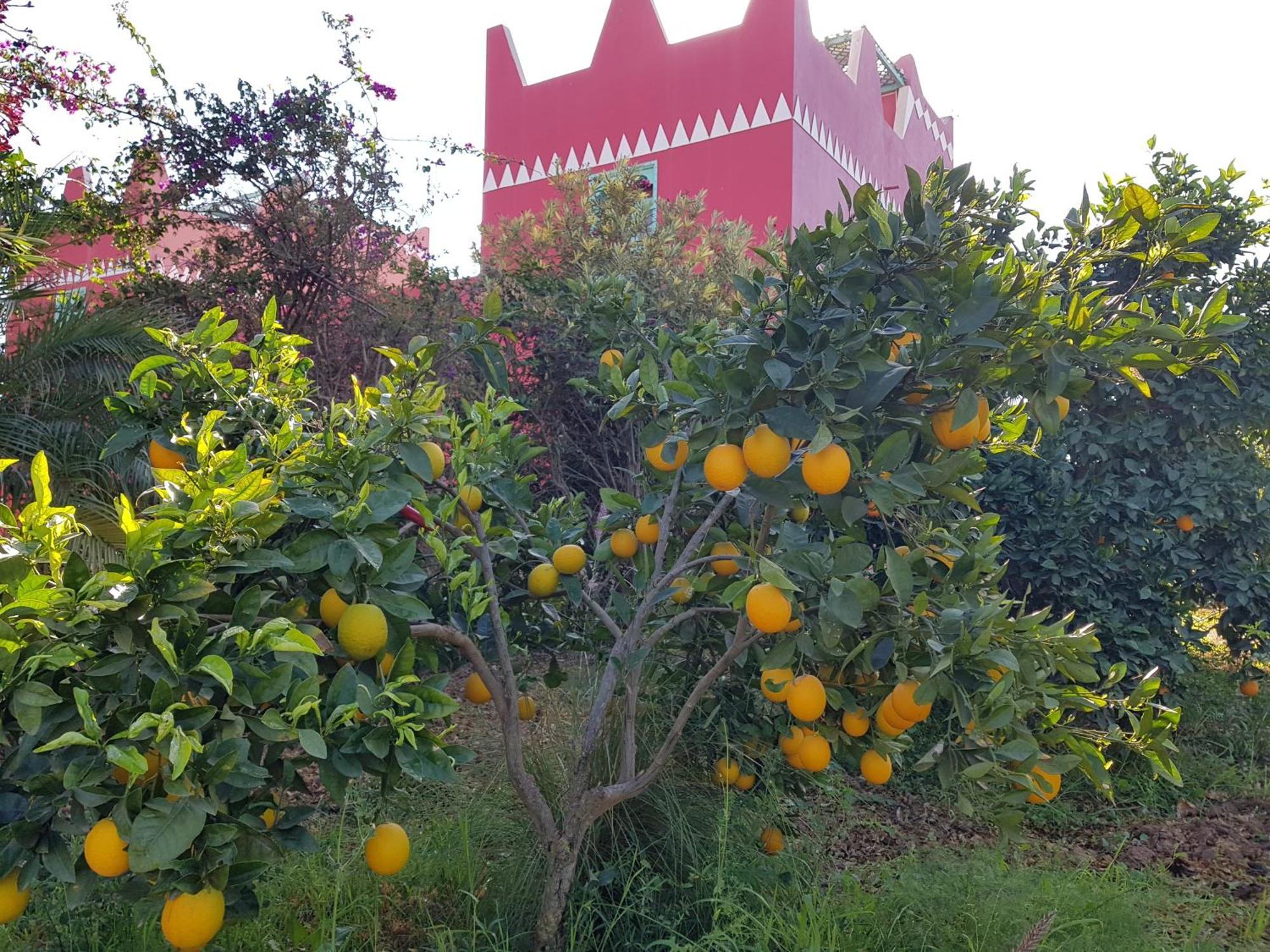 Riad-Villa Agadir-Taroudant Sidi Boumoussa Екстериор снимка